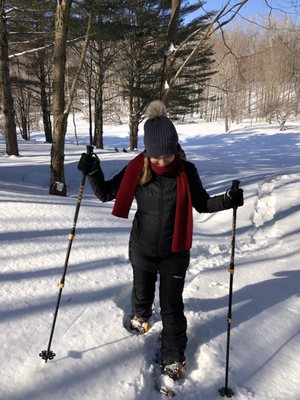 Moose Meadow Lodge & Treehouse by null