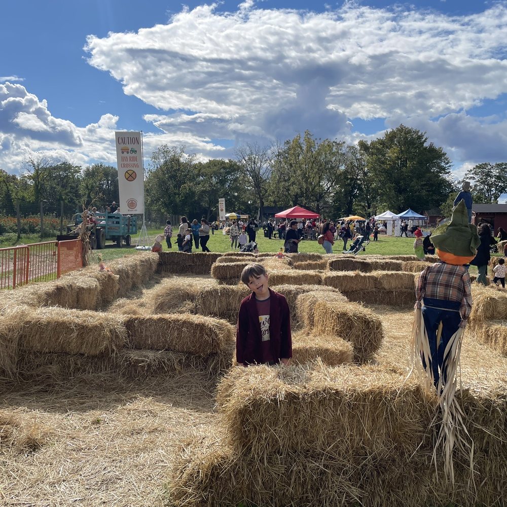 Decker Farm - My son sums up the vibe of the place. - Farmers Market Near Me - Staten Island, New York