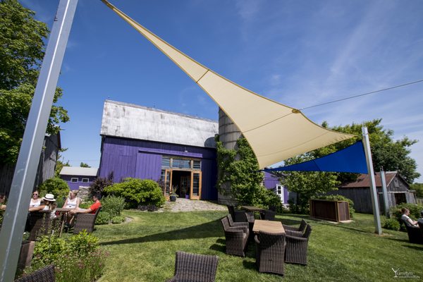 Closson Chase Vineyards by null