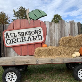 All Seasons Orchard - Pumpkin Patches Near Me - Woodstock, Illinois All Seasons Orchard - Pumpkin Patches Near Me - Woodstock, Illinois