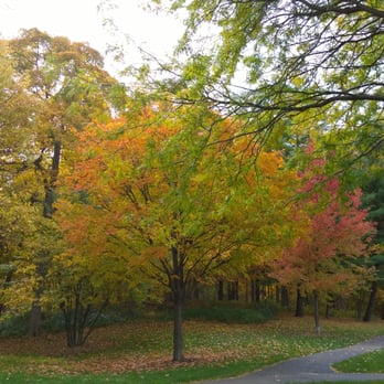 Maple Grove Forest Preserve - Parks Near Me - Downers Grove, Illinois Maple Grove Forest Preserve - Parks Near Me - Downers Grove, Illinois