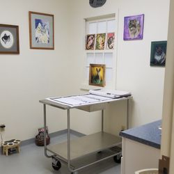 Canterbury Tails Veterinary Clinic - We take pleasure in making each visit a positive experience for you and your pet
