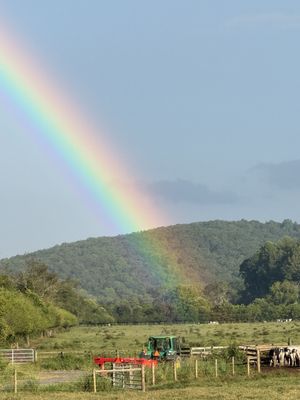 Tallulah Gorge State Park by null