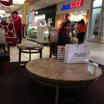 Hillcrest Mall - Shopper and her dog taking a break from shopping - Shopping Centers Near Me - Richmond Hill, Ontario