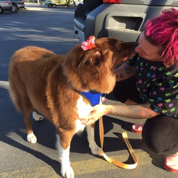 Dawn's Pet Palace - Penny kisses Dawn goodbye! - Pet Groomers Near Me - Carmichael, California