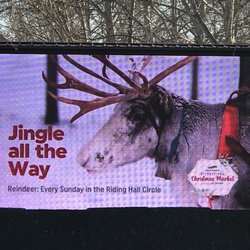 Spruce Meadows International Christmas Market - Reindeer are Sundays only 2022