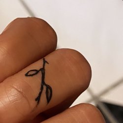 Ink Creations - The tattoo 2 days later