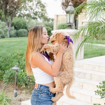 Madelein DeWier Photography - Madelein does shoots with pets too! - Session Photography Near Me
