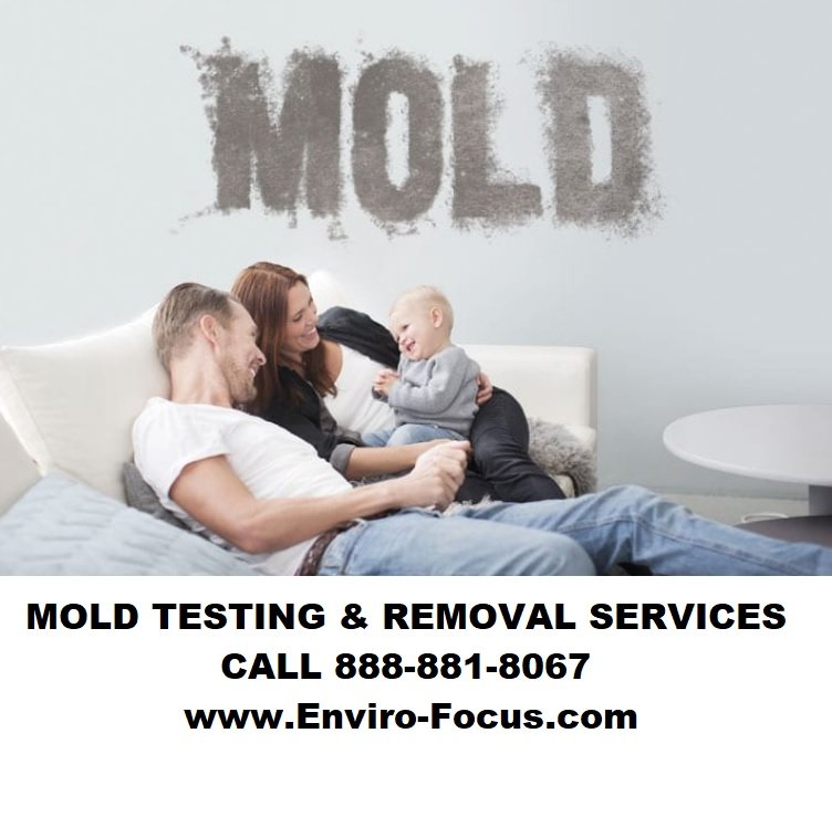 EnviroFocus - mold inspector in Daly City, CA