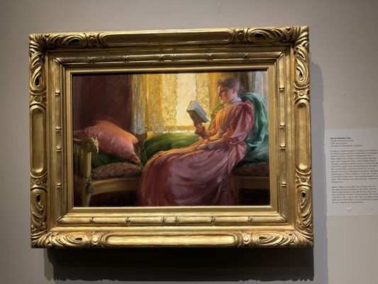 Albany Institute of History & Art by null