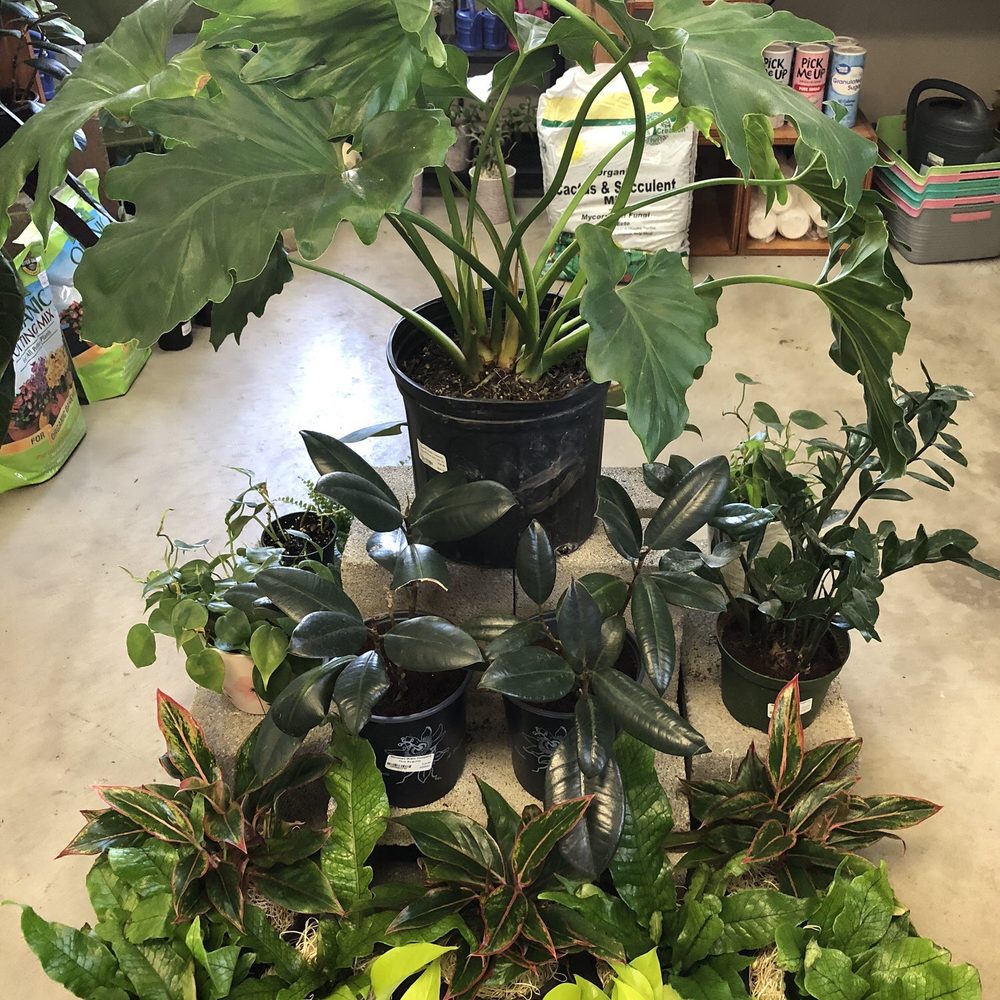 Marshall Grain - Nurseries & Gardening Near Me - Colleyville, Texas