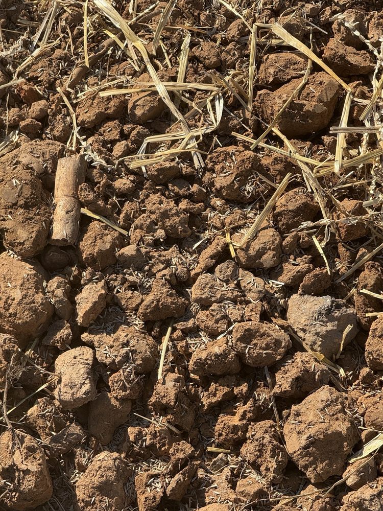 Spire Energy - safety consultant in St. Louis, MO