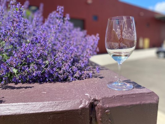 Long Shadows Winery by null