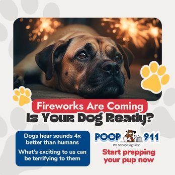 POOP 911 - Tacoma - Pet Waste Removal Near Me POOP 911 - Tacoma - Pet Waste Removal Near Me