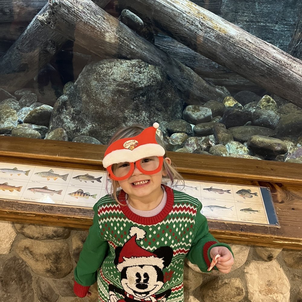Cabela's - Santa glasses and fish tank - Guns & Ammo Near Me - Verdi, Nevada