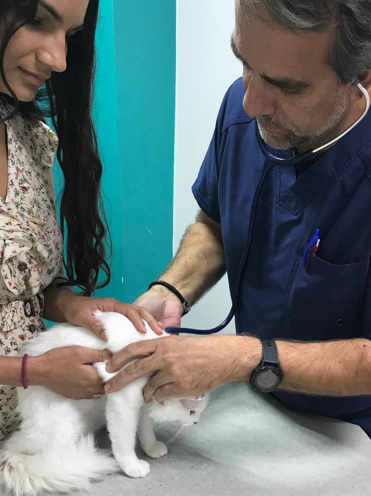 Animal Medical Hospital Image