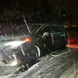 Portlandia Airport Shuttle