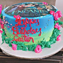 This Encanto cake looks great! It was so delicious!