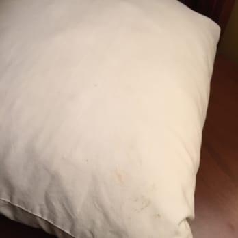 Days Inn by Wyndham Lathrop - Unwashed pillow cashes!!  Grossss!!!!! - Hotels Near Me - Lathrop, California
