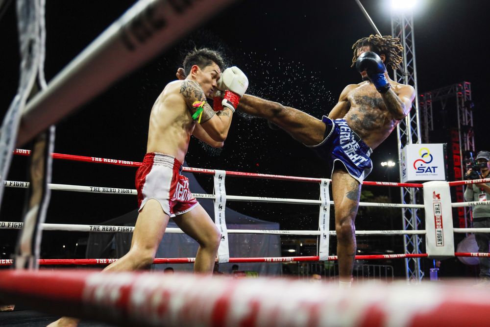 Tink Muay Thai Logo