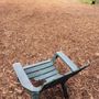 Photo of Branciforte Dog Park