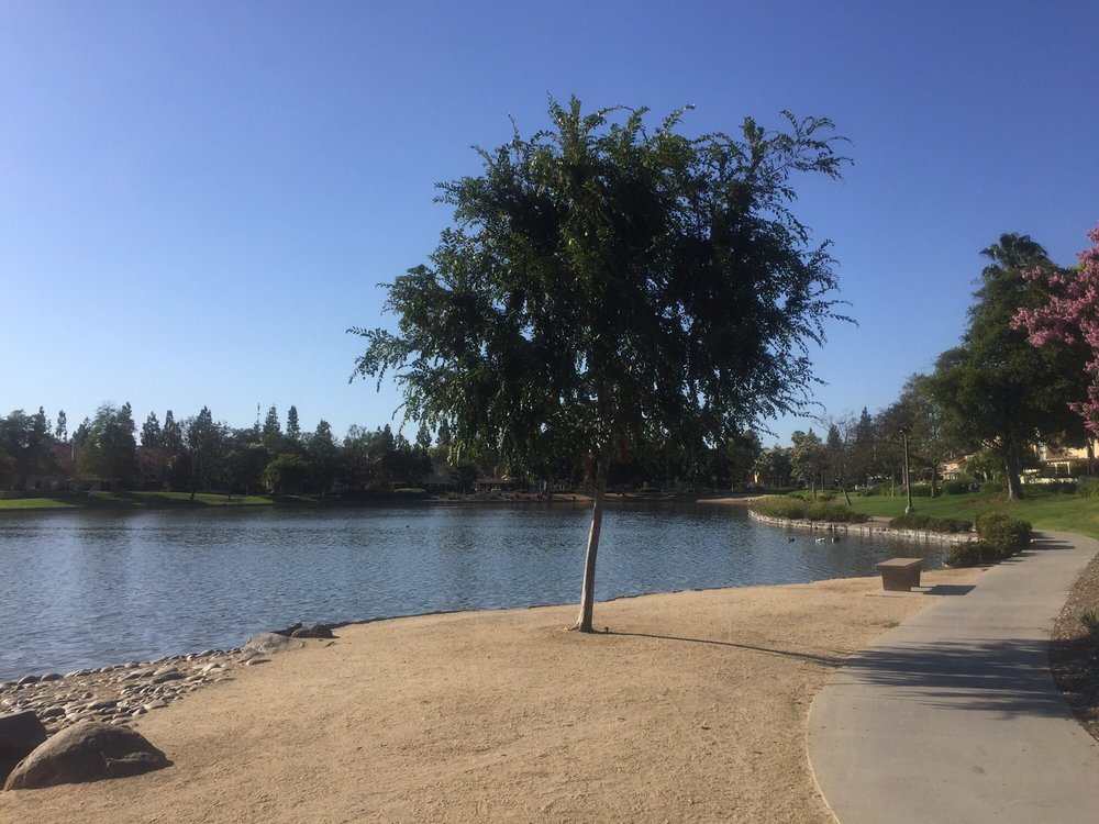 Eastlake Lake 78 Photos & 20 Reviews Lakes Eastlake Drive And