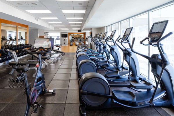 Hilton Americas-Houston by null