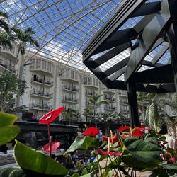 Restaurant and hotel view