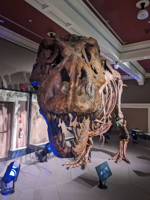 Royal BC Museum by null