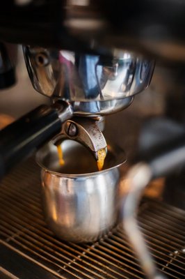 HomeGrown215 by null