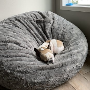 TAILored Pet Services LLC and Four-Legged Fun Zone - Perry - Dog Walkers Near Me - Everett, Washington TAILored Pet Services LLC and Four-Legged Fun Zone - Perry - Dog Walkers Near Me - Everett, Washington