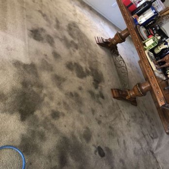 Dream Steam Carpet Clean - Stains - Carpet Cleaning Near Me Dream Steam Carpet Clean - Stains - Carpet Cleaning Near Me