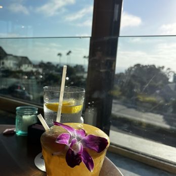 Monarch Ocean Pub - So pretty and so yummy ! - Gastropubs Near Me - Del Mar, California