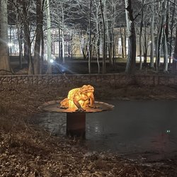 Fluorescent Frogs
