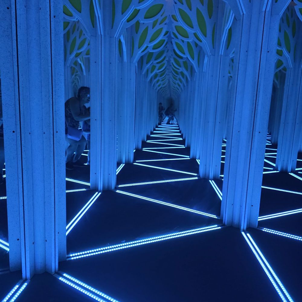 Savannah Children's Museum - Mirror maze! - Children's Museums Near Me - Savannah, Georgia Savannah Children's Museum - Mirror maze! - Children's Museums Near Me - Savannah, Georgia
