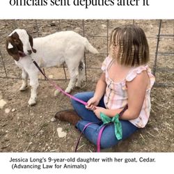 Shasta County Sheriff - Little girl with Cedar