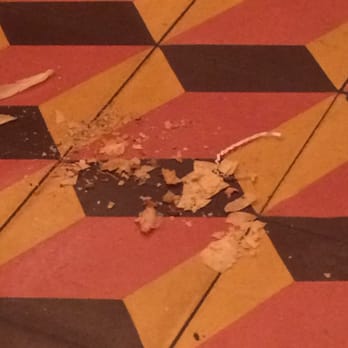 Chuy's - The welcome pile of trash to step on, on the way to your booth. - Mexican Near Me - Atlanta, Georgia