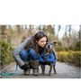 Photo of Nikki’s Kinetic K9 Training