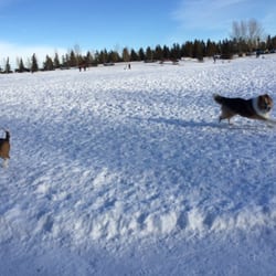 Jackie Parker Park - The dogs love the Offleash Area.