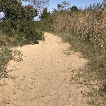 Terrapin Nature Park - Sand trail to the beach - Parks Near Me - Stevensville, Maryland