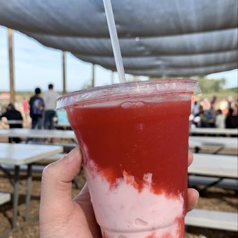 Southern Belle Farm - Strawberry slushie with strawberry ice cream - Pick Your Own Farms Near Me - McDonough, Georgia Southern Belle Farm - Strawberry slushie with strawberry ice cream - Pick Your Own Farms Near Me - McDonough, Georgia