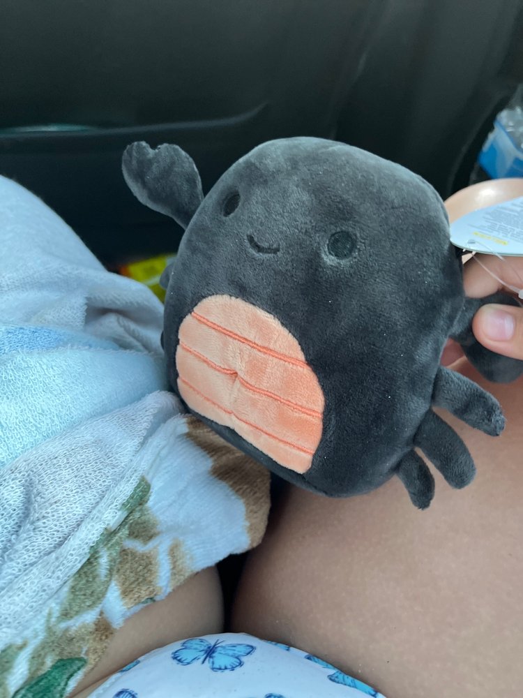 LEARNING EXPRESS TOYS Updated September 2024 2100 Route 35, Sea