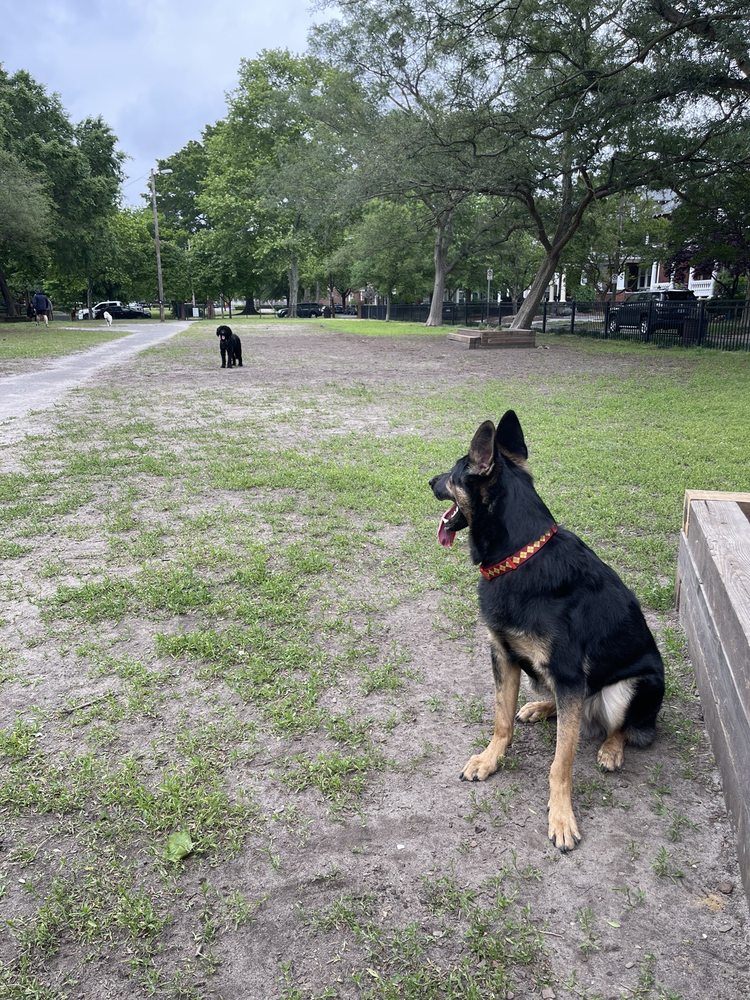 Ghent Dog Park