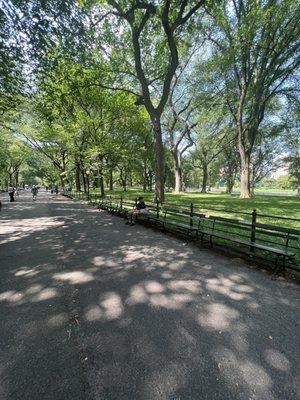 Family in New York Sightseeing Tours by null