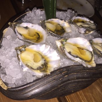 Toko - Oysters - Japanese Near Me - Surry Hills, NSW