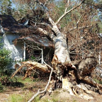 John's Tree Service - Tree Services Near Me
