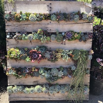 Waterwise Botanicals - Nurseries & Gardening Near Me - Bonsall, California Waterwise Botanicals - Nurseries & Gardening Near Me - Bonsall, California