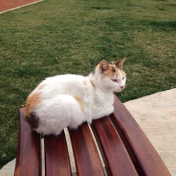 Kalamış Parkı - Beklerken bana eşlik ediooo