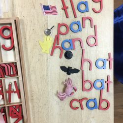 Montessori Children's Garden