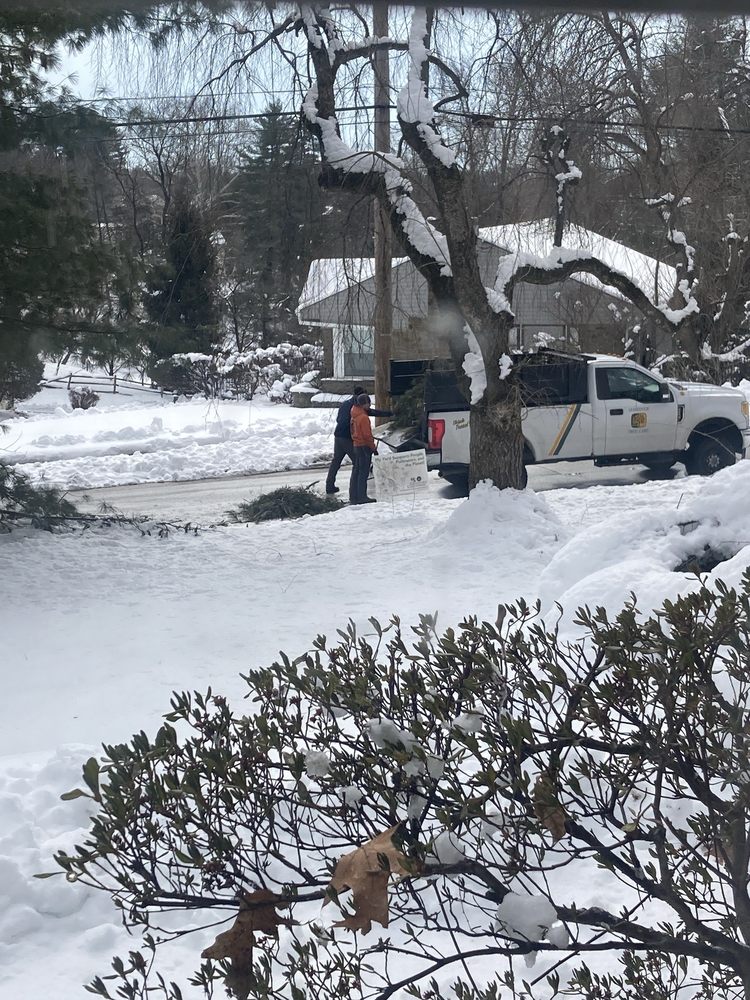 Shreiner Tree Care - tree service in King Of Prussia, PA